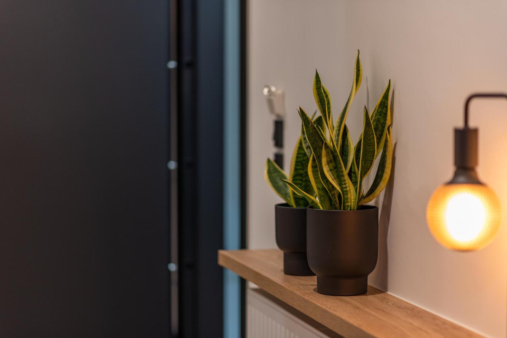 Fumo Katoikia Appartement *